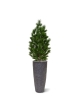 Pinus deluxe XL pianta artificiale 130 cm - resistente ai raggi UV