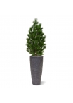 Pinus deluxe XL pianta artificiale 130 cm - resistente ai raggi UV