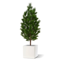 Pinus deluxe XL pianta artificiale 130 cm - resistente ai raggi UV