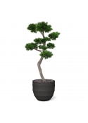 Albero artificiale Pinus Bonsai XL 200 cm - resistente ai raggi UV