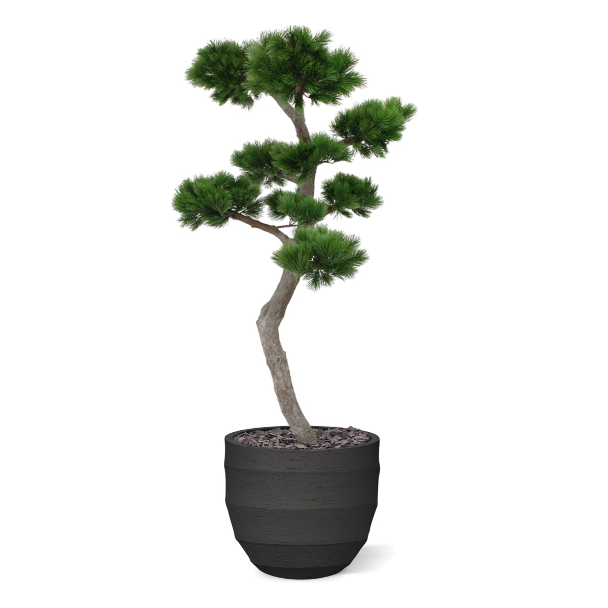 Albero artificiale Pinus Bonsai XL 200 cm - resistente ai raggi UV