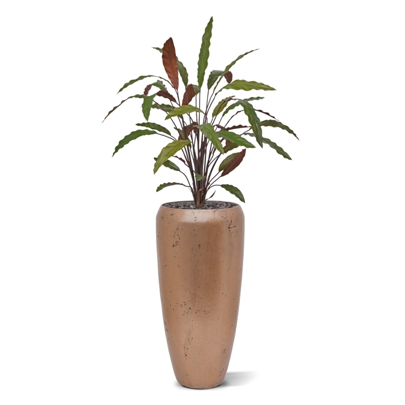 Calathea 75cm Pianta artificiale verde/rossa