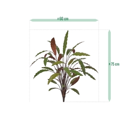 Calathea 75cm Pianta artificiale verde/rossa