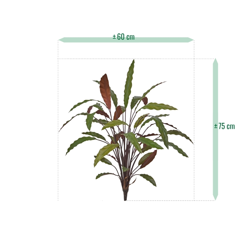 Calathea 75cm Pianta artificiale verde/rossa