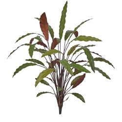 Calathea 75cm Pianta artificiale verde/rossa