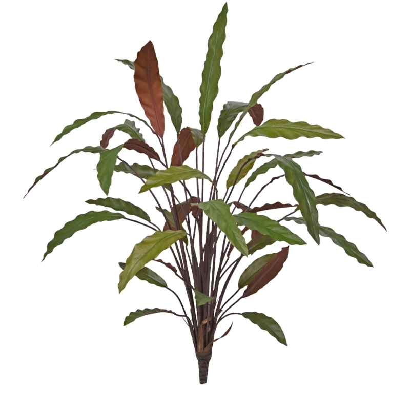 Calathea 75cm Pianta artificiale verde/rossa