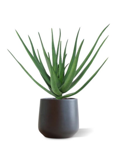 Pianta artificiale Aloe deluxe 60 cm
