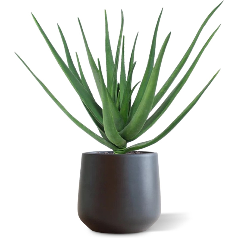 Pianta artificiale Aloe deluxe 60 cm