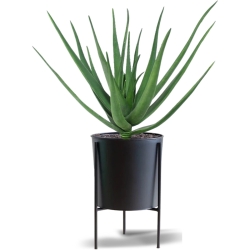 Pianta artificiale Aloe deluxe 60 cm