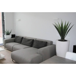 Pianta artificiale Aloe deluxe 60 cm
