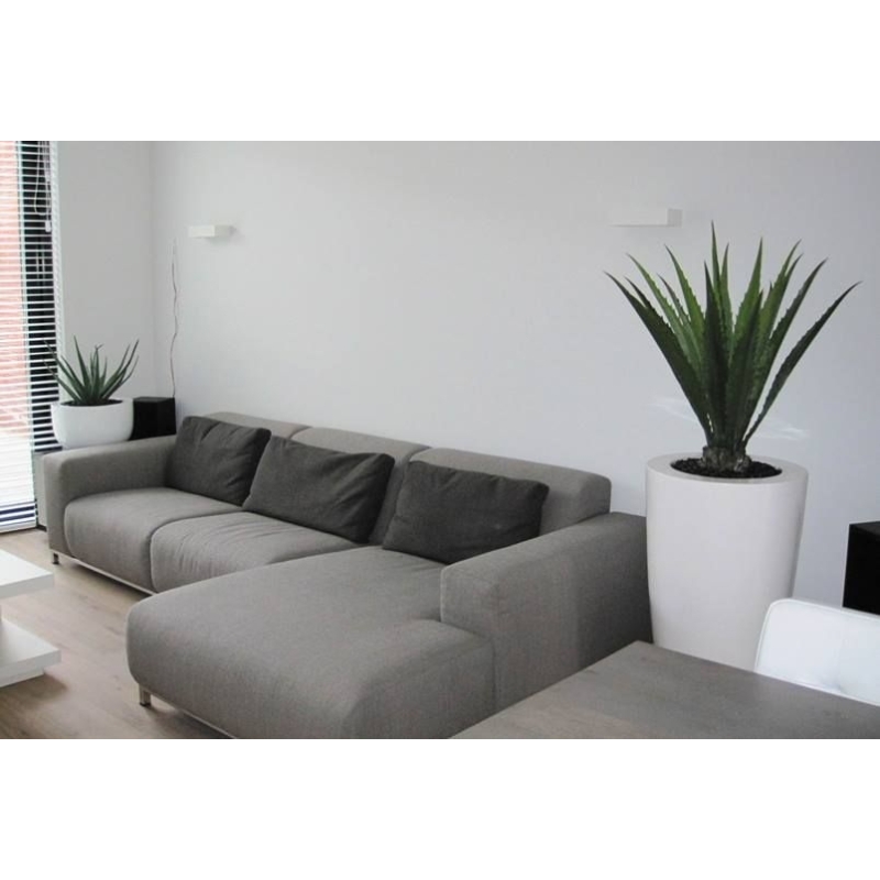 Pianta artificiale Aloe deluxe 60 cm