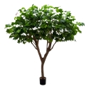 Replica di lusso dell\'Acero 240 cm ignifuga