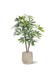 Philodendron Fun Bun Pianta Artificiale 155cm