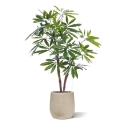 Philodendron Fun Bun Pianta Artificiale 155cm