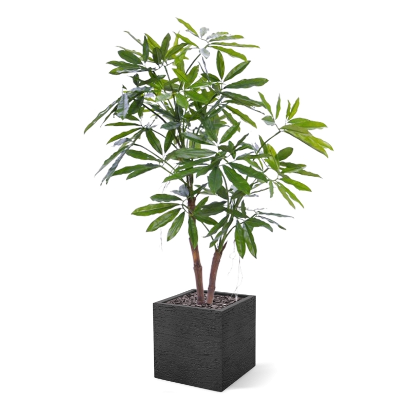 Philodendron Fun Bun Pianta Artificiale 155cm