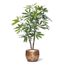 Philodendron Fun Bun Pianta Artificiale 155cm