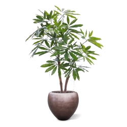 Philodendron Fun Bun Pianta Artificiale 155cm