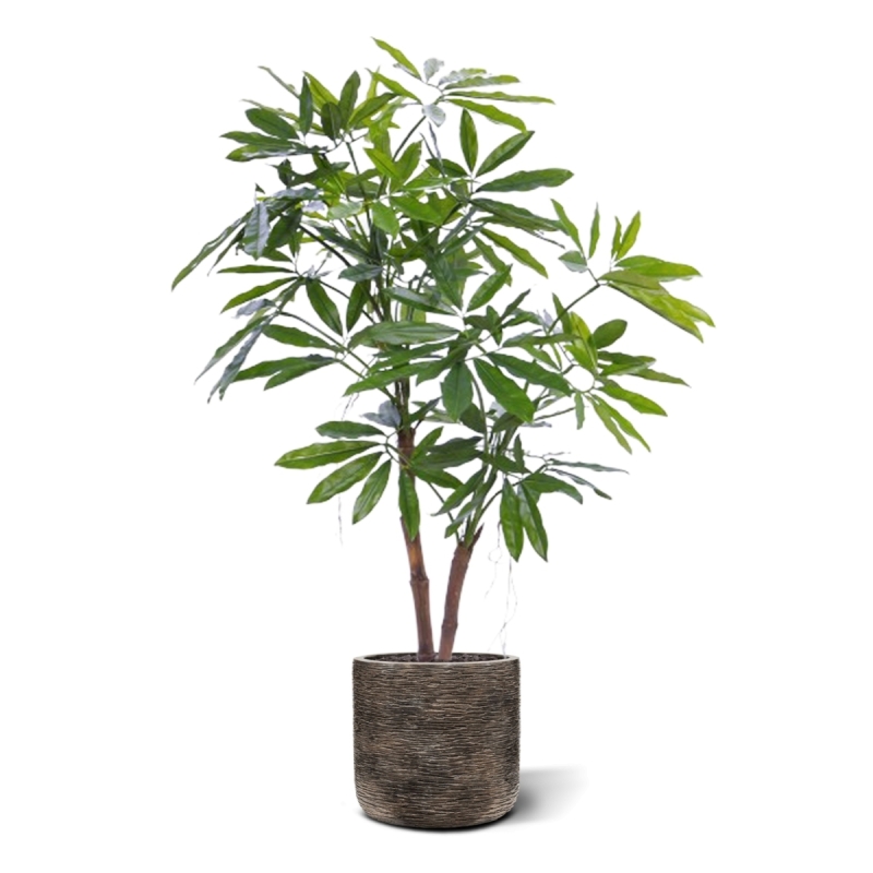 Philodendron Fun Bun Pianta Artificiale 155cm