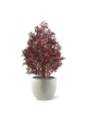 Pianta artificiale Ming Aralia UV 90cm Borgogna