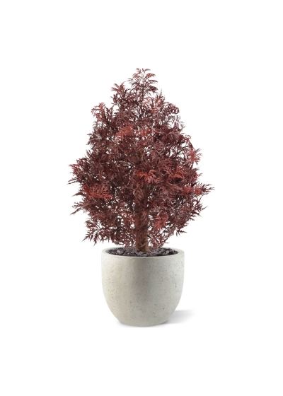 Pianta artificiale Ming Aralia UV 90cm Borgogna