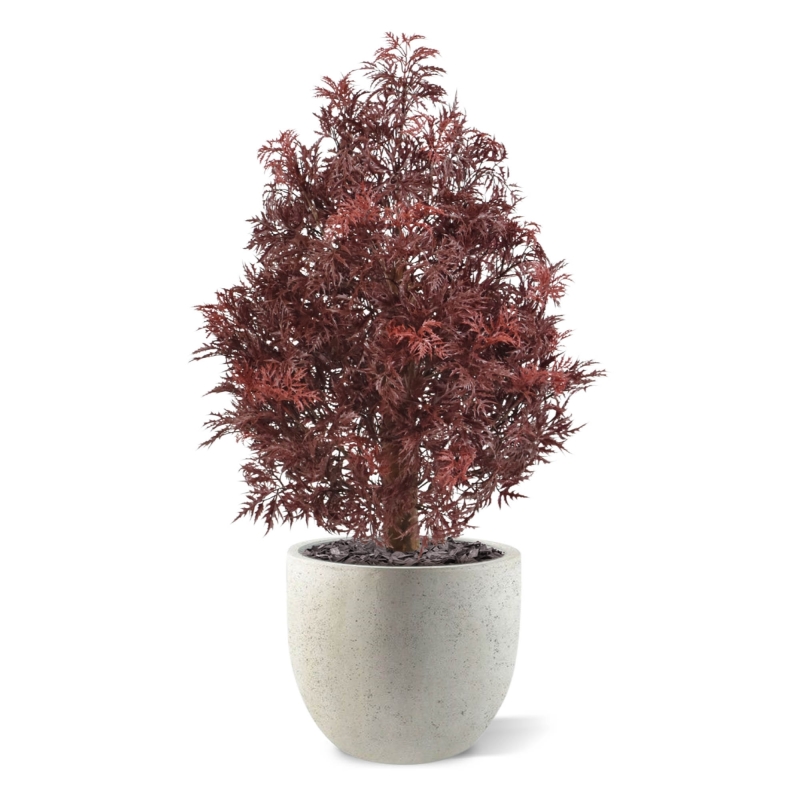 Pianta artificiale Ming Aralia UV 90cm Borgogna
