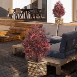 Pianta artificiale Ming Aralia UV 90cm Borgogna