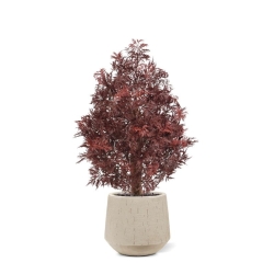Pianta artificiale Ming Aralia UV 90cm Borgogna