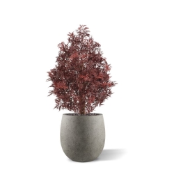 Pianta artificiale Ming Aralia UV 90cm Borgogna