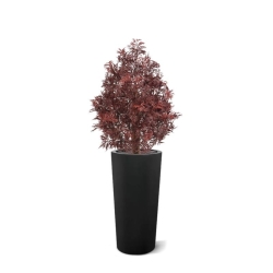 Pianta artificiale Ming Aralia UV 90cm Borgogna