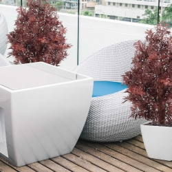 Pianta artificiale Ming Aralia UV 90cm Borgogna