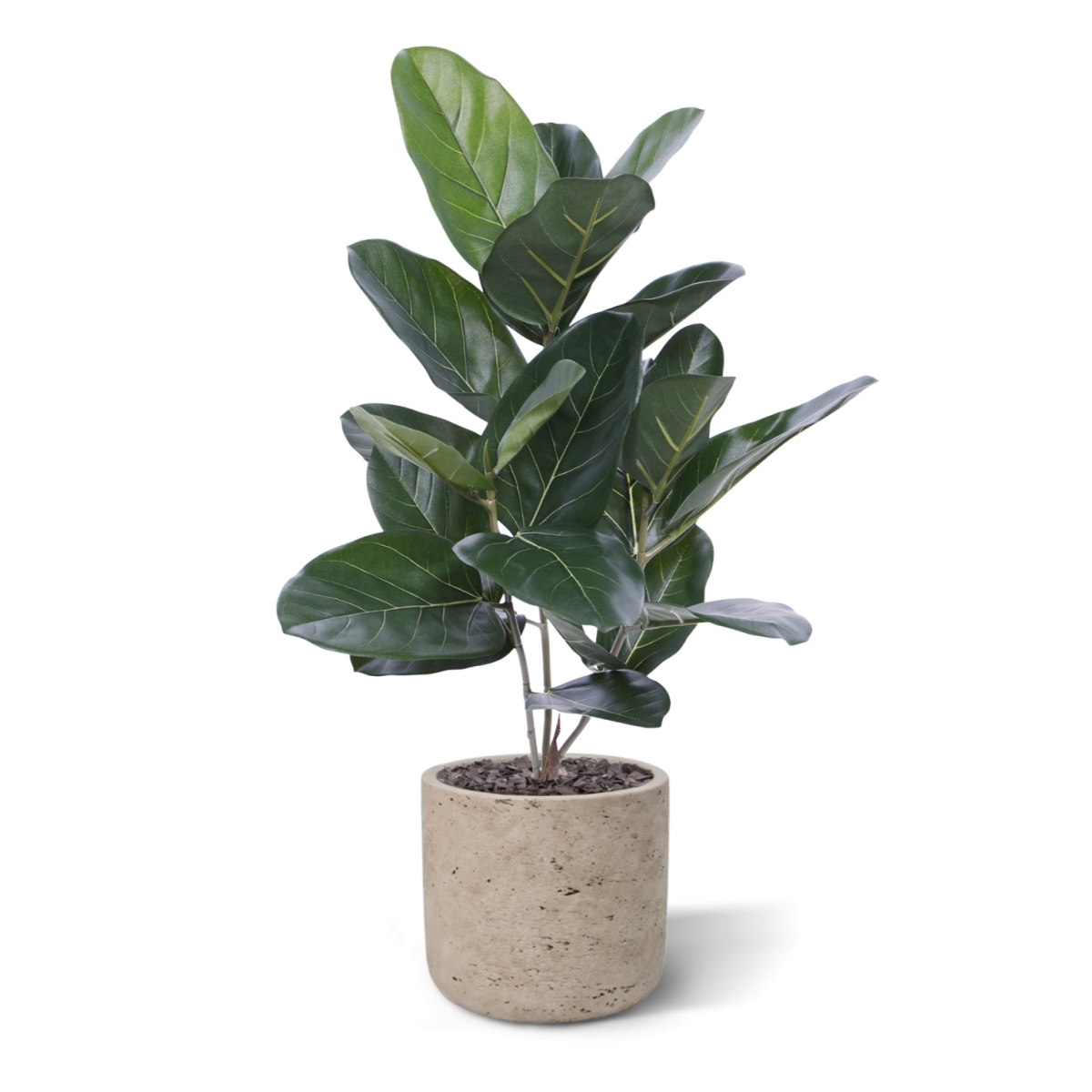 Ficus Audrey pianta artificiale 60cm