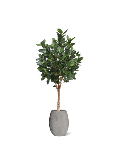 Albero Ficus Audrey Deluxe Artificiale 250cm