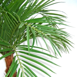 Palma Areca artificiale su stelo 120cm