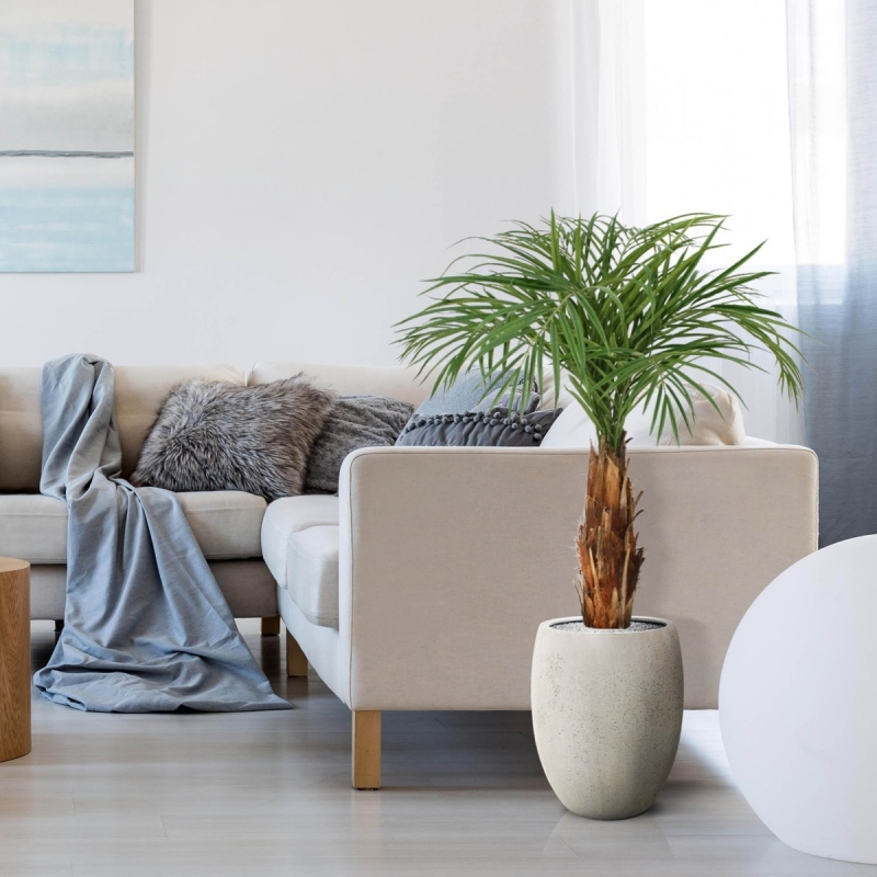 Palma Areca artificiale su stelo 120cm
