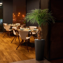 Palma Areca artificiale su stelo 120cm