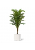 Palma artificiale Paradize Promo 180cm