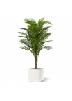 Palma artificiale Paradize Promo 180cm