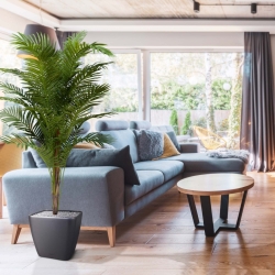 Palma artificiale Paradize Promo 180cm