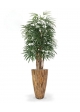 Palma artificiale Raphis deluxe 160 cm - FR - ignifuga