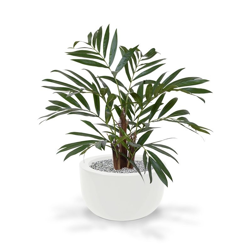 Palma artificiale Chamaedorea 65 cm