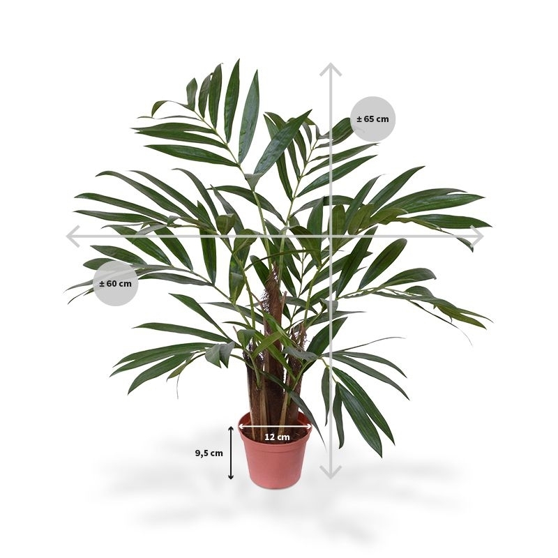 Palma artificiale Chamaedorea 65 cm