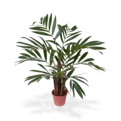 Palma artificiale Chamaedorea 65 cm