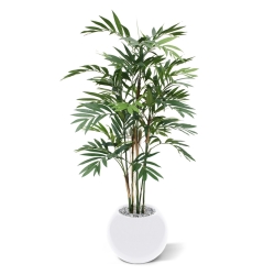 Palma artificiale Chamaedorea deluxe 150 m