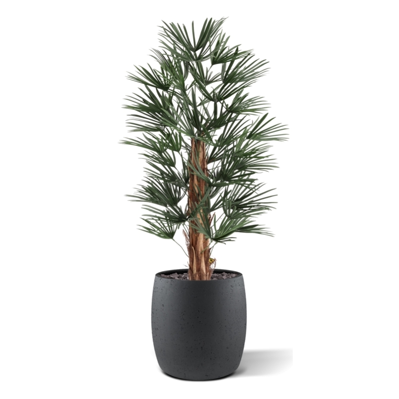 Artificiale Raphis Palma 125cm UV in vaso
