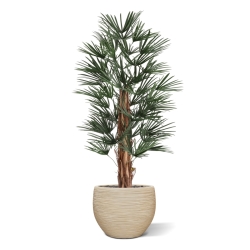 Artificiale Raphis Palma 125cm UV in vaso