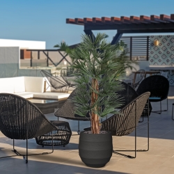 Artificiale Raphis Palma 125cm UV in vaso