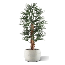 Artificiale Raphis Palma 125cm UV in vaso