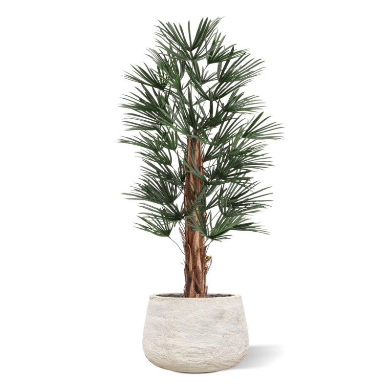 Artificiale Raphis Palma 125cm UV in vaso
