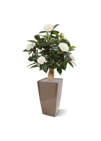 Pianta artificiale di camelia su base 60 cm - crema