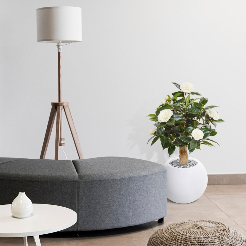 Pianta artificiale di camelia su base 60 cm - crema